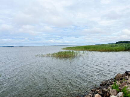 24-06-30 11-46-54 0032